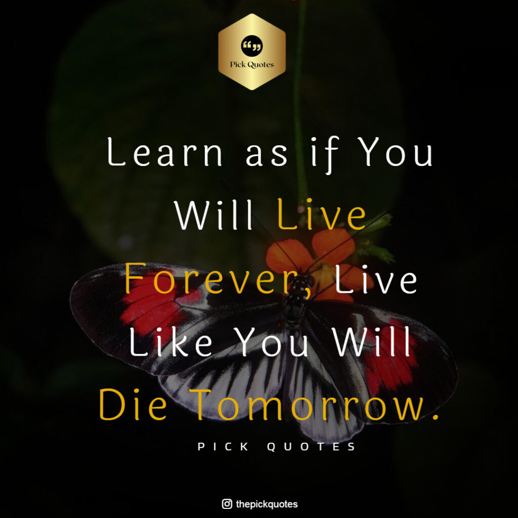 learn as if you will live forever live like you will die tomorrow THEPICKQUOTES.COM