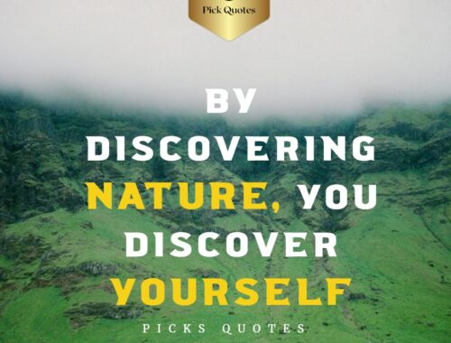 By discovering nature, you discover yourself-thepickquotes.com