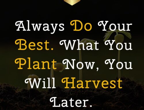 Always Do Your Best What You Plant Now You WilL Harvest Later Thepickquotes.com