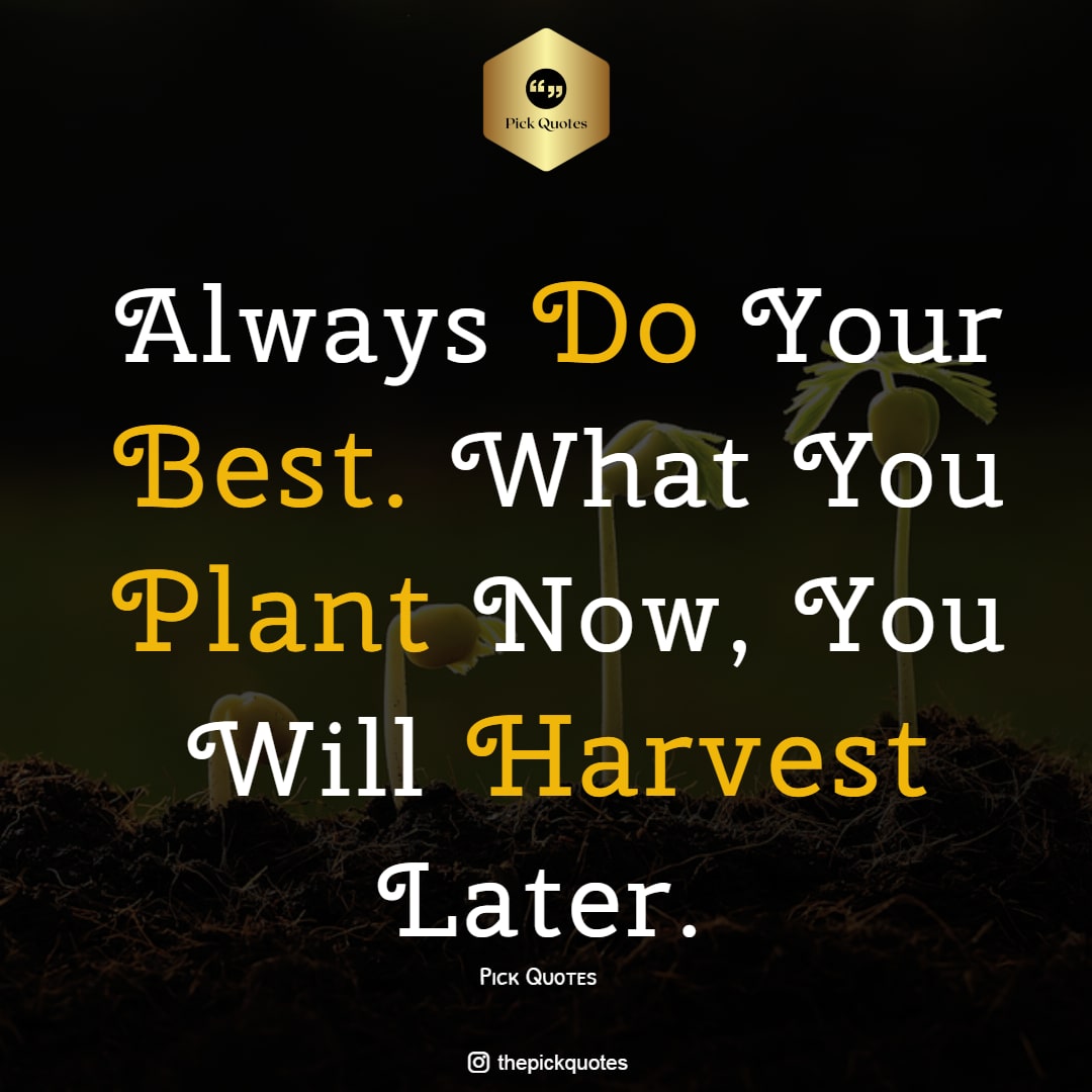 Always Do Your Best What You Plant Now You WilL Harvest Later Thepickquotes.com