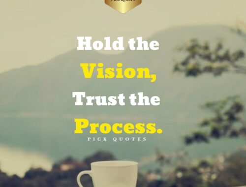 hold_the_vision__trust_the_process_thepickquotes.com