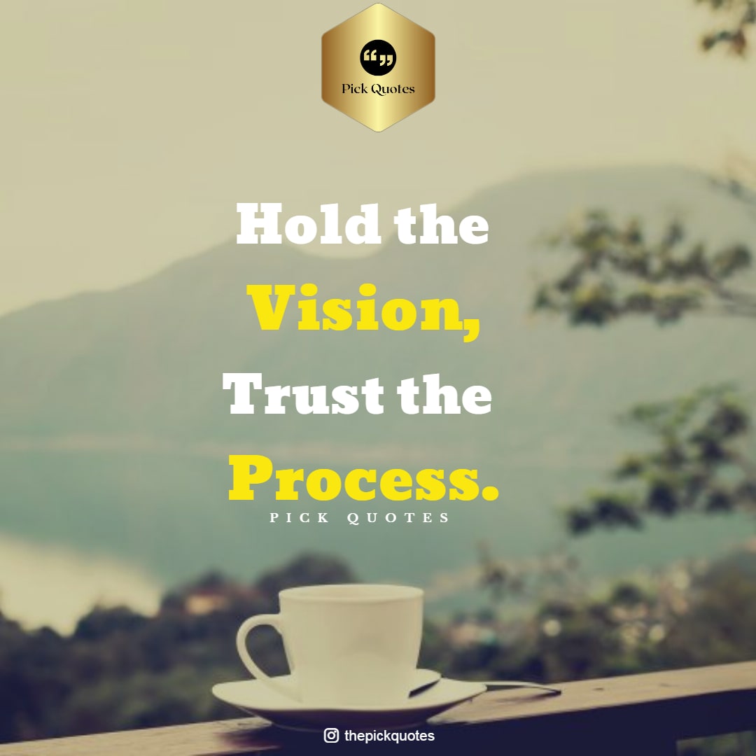 hold_the_vision__trust_the_process_thepickquotes.com