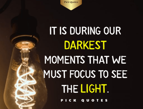 it_is_during_our_darkest_moments_that_we_must_focus_to_see_the_light_ thepickquotes.com
