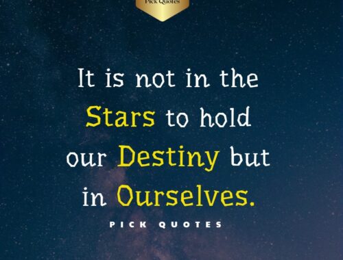 it_is_not_in_the_stars_to_hold_our_destiny_but_in_ourselves_thepickquotes.com