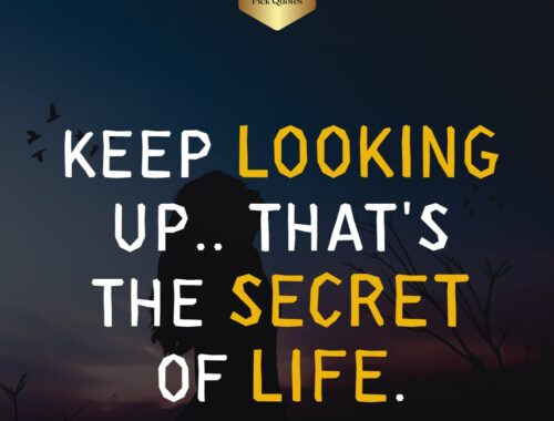 Keep Looking Up. That's the Secret Of Life thepckquotes.com