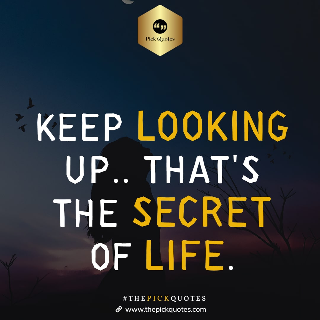 Keep Looking Up. That's the Secret Of Life thepckquotes.com