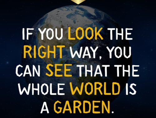 if_you_look_the_right_way__you_can_see_that_the_whole_world_is_a_garden_thepickquotes.com