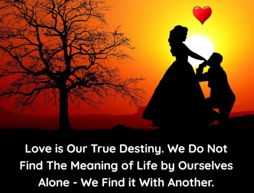 love_is_our_true_destiny__we_do_not_find_the_meaning_of_life_by_ourselves_alone___we_find_it_with_another_thepickquotes.com