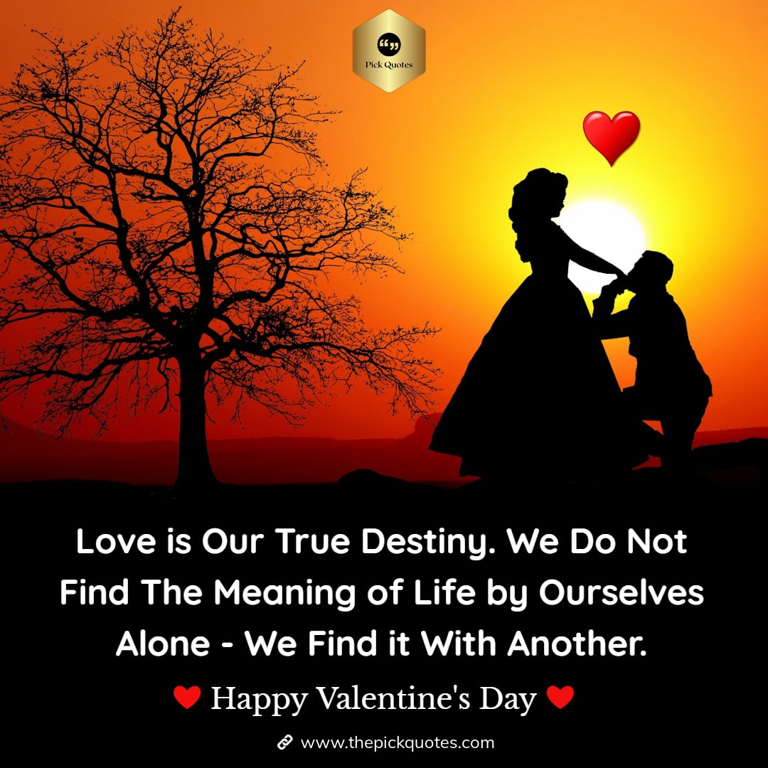 love_is_our_true_destiny__we_do_not_find_the_meaning_of_life_by_ourselves_alone___we_find_it_with_another_thepickquotes.com