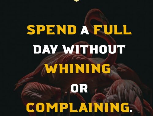 spend_a_full_day_without_whining_or_complaining_thepickquotes.com